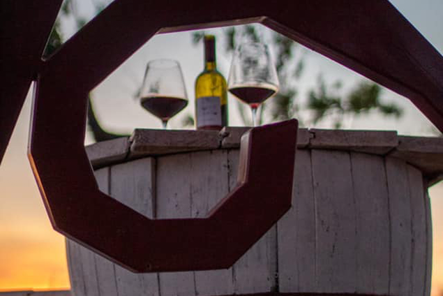 https://www.murgiando.it/wp-content/uploads/2023/05/Wine.png