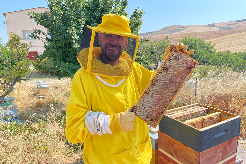 Un Apiario in Masseria