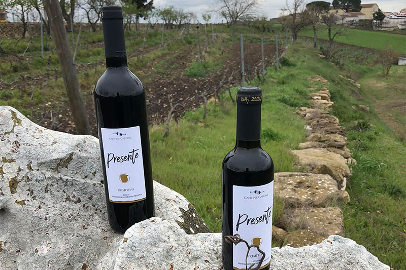 Enoturismo nei luoghi contadini