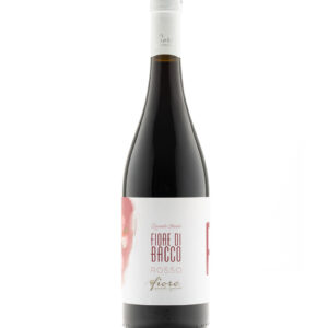 https://www.murgiando.it/wp-content/uploads/2024/01/fiore-bacco-rosso-300x300.jpg